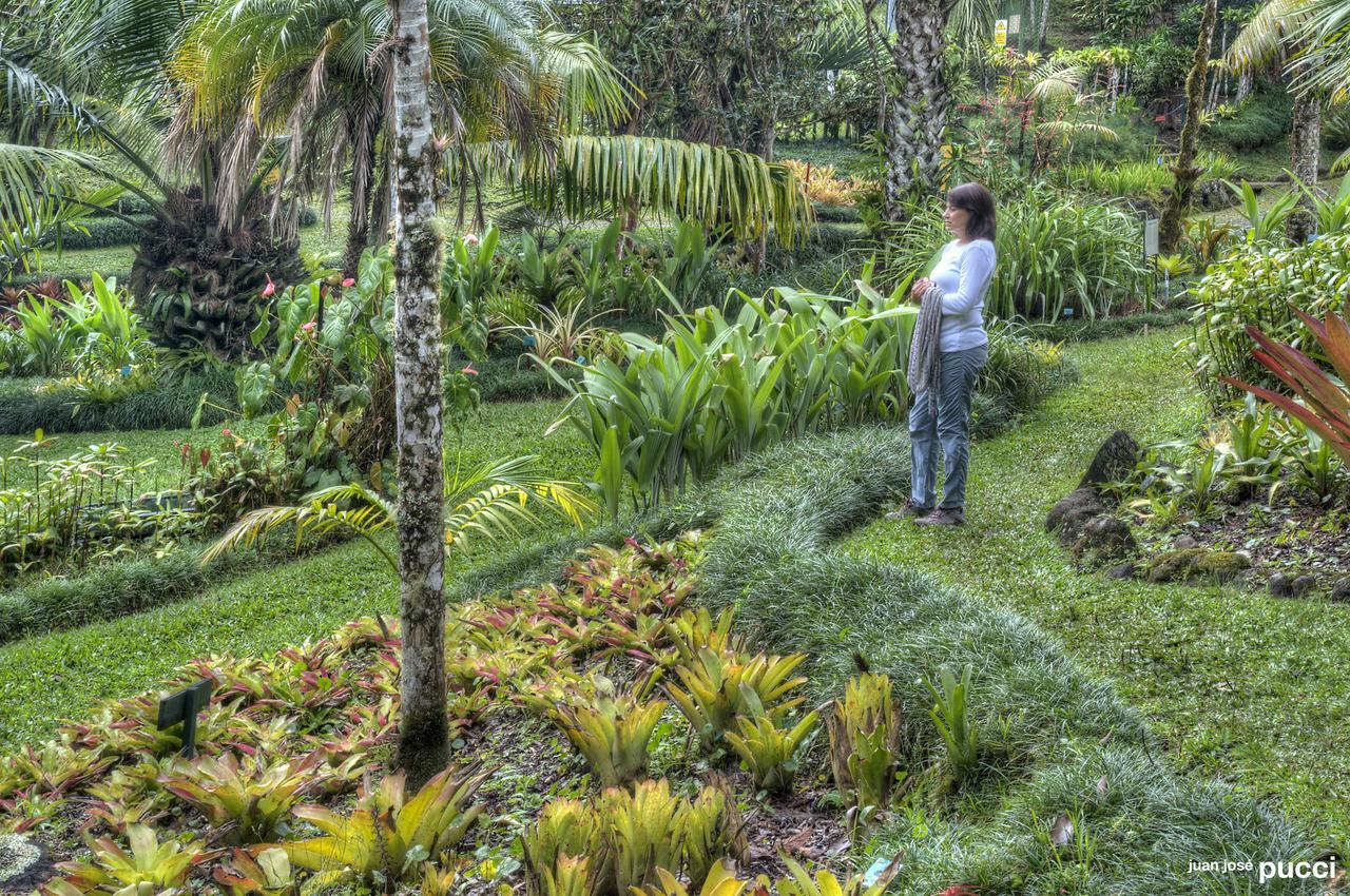 Estación Biológica Las Cruces y Jardín Botánico Wilson San Vito Exterior foto